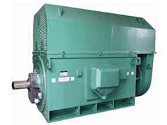 YR5003-4/800KWYKK系列高压电机
