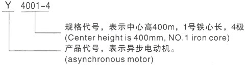 西安泰富西玛Y系列(H355-1000)高压YR5003-4/800KW三相异步电机型号说明